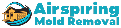 Airspring Mold Removal